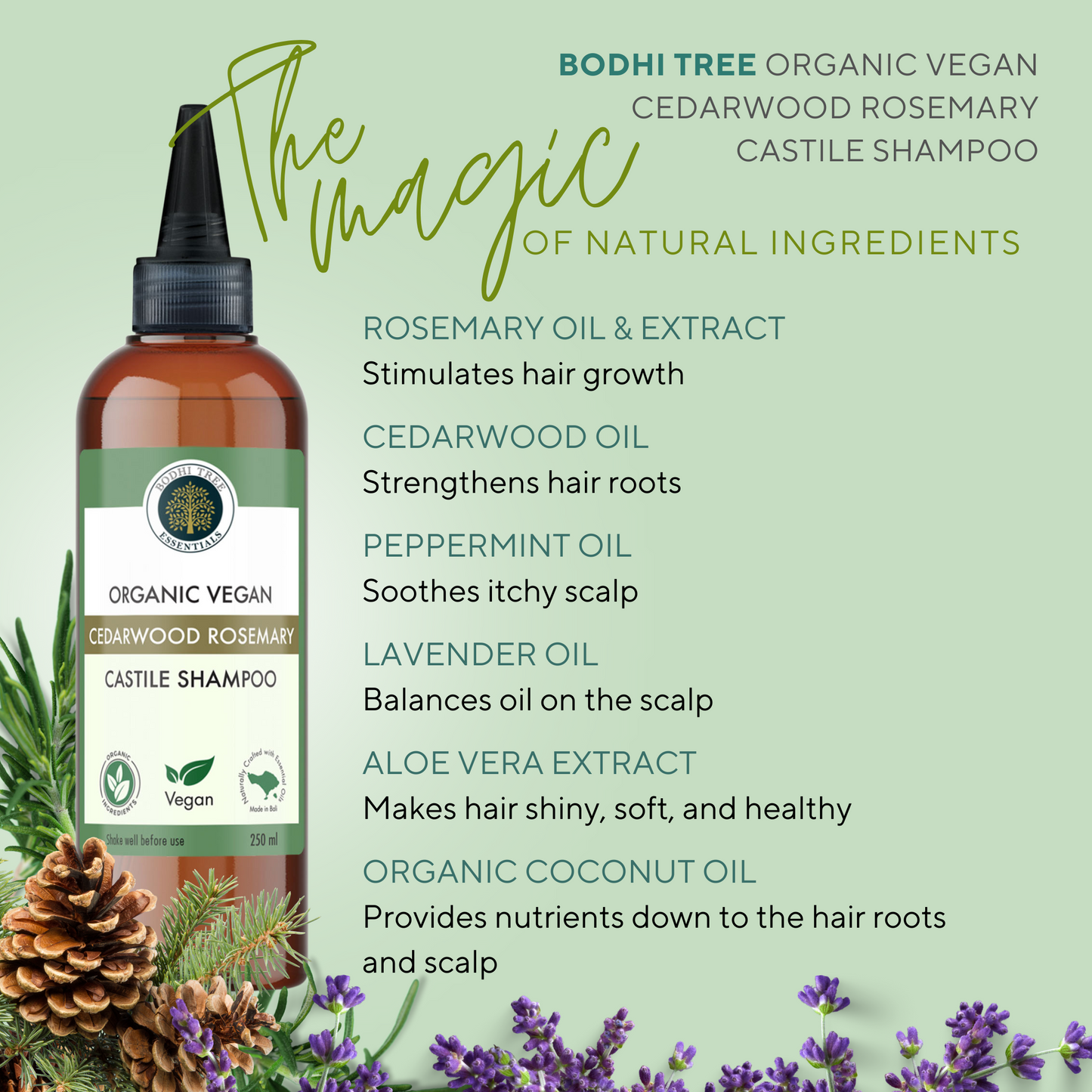 Bodhi Tree Organic Vegan Cedarwood Rosemary Castile Shampoo 250 ml