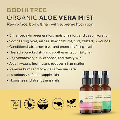 Bodhi Tree Organic Aloe Vera Mist - Wild Mint 120 ml