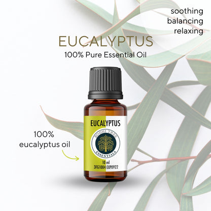 Bodhi Tree 100% Pure Essential Oil - Eucalyptus - Therapeutic Grade