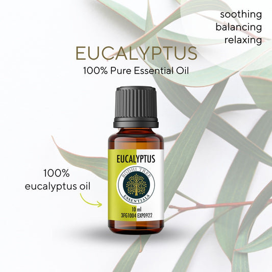 Bodhi Tree 100% Pure Essential Oil - Eucalyptus - Therapeutic Grade