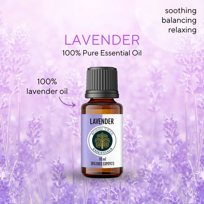 Bodhi Tree 100% Pure Essential Oil - Lavender - Therapeutic Grade